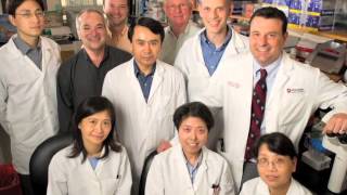 Working at Dana-Farber | Dana-Farber Cancer Institute