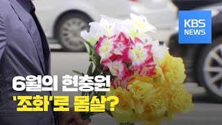 현충일 앞두고...현충원 조화 6월 한 달 30톤 폐기 / KBS뉴스(News)