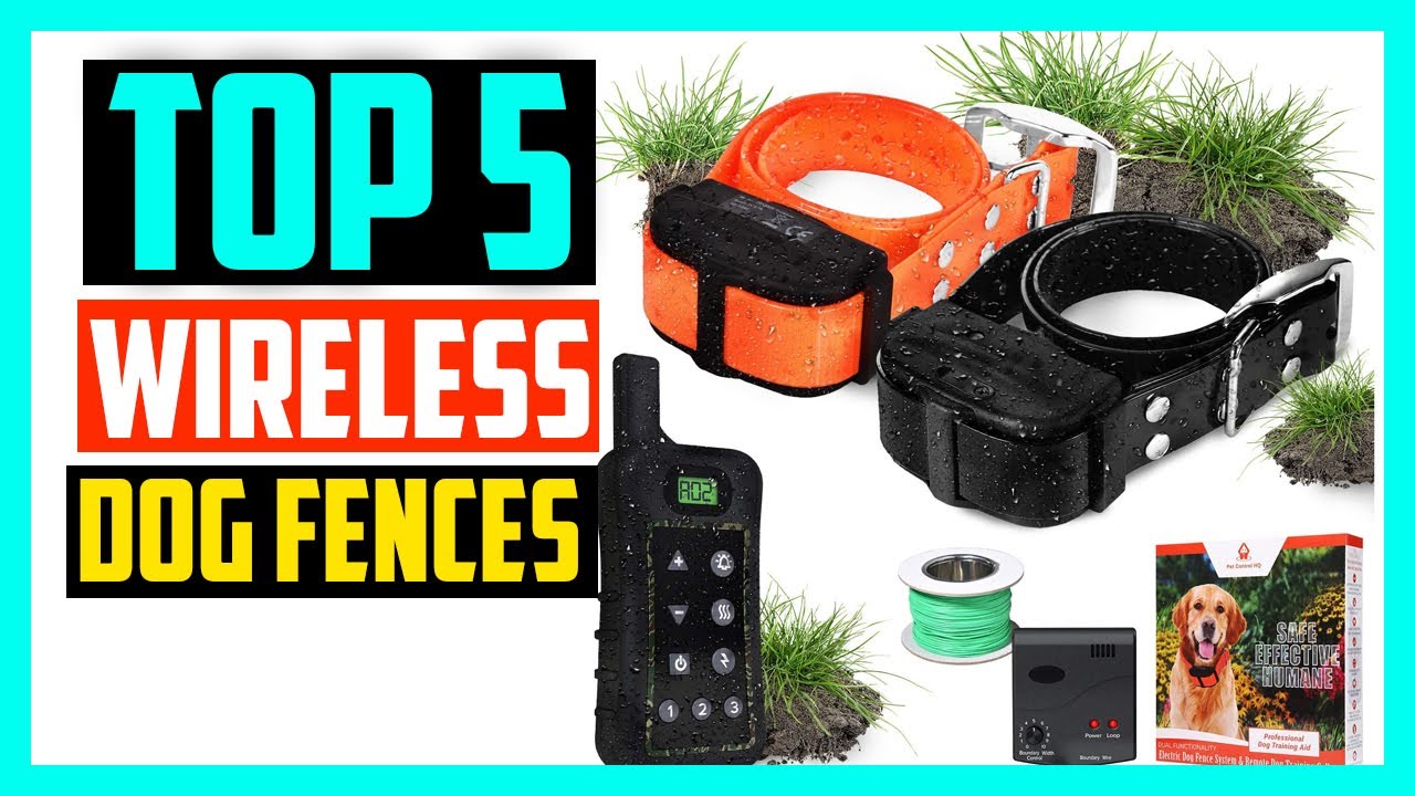 Top 5 Best Wireless Dog Fences In 2024 Reviews - YouTube