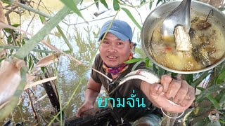 หาอยู่หากินแบบบ้านๆEP.232 ยามจั่น ป่นปลา กินข้าว แซ่บๆ