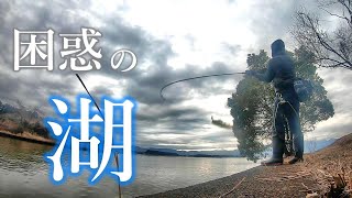 一体何のチャンネルやねん!?【琵琶湖バス釣り】