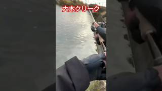 大木クリークを散策！  福岡バス釣り トニー