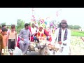 unique marriage in khanewal wedding on donkey cart discover pakistan