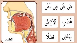 Haroof | حروف تہجی ض