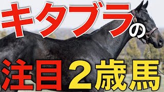 次世代のスターホースがこの中に！キタサンブラックの注目2歳馬紹介。