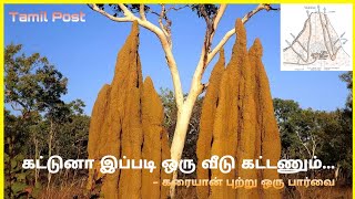 Karaiyan putru | கரையான் புற்று  | Termite's Architecture | Tamil Post