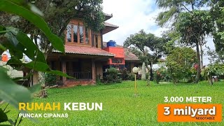 VILLA PUNCAK DIJUAL | 3.000 METER | 3 Milyard NEGO | RUMAH KEBUN CIPANAS PUNCAK