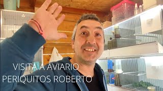 VISITA A AVIARIO PERIQUITOS  ROBERTO || VEMOS SUS NIDOS #birds #budgies #parrot #pets #vlog