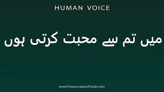 How To Pronounce میں تم سے محبت کرتی ہوں