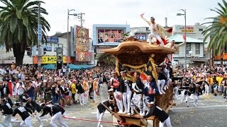 平成28年だんじり動画　岸和田地区パレード（9月17日）　宮本町