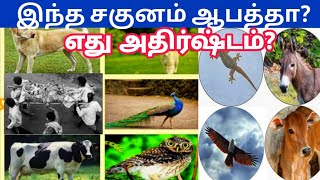 சகுன சாஸ்திரம்😱இந்த அறிகுறிகள் காட்டினால் நல்ல காரியம் செய்யாதீர்கள்