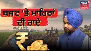 ਬਜਟ 'ਤੇ ਮਾਹਿਰਾਂ ਦੀ ਰਾਏ | Expert's Opinion on Punjab Budget | News18 Punjab