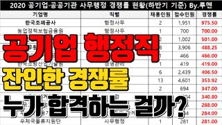 🚩공기업 사무직 행정직 취업 경쟁률😱잔인한 현실👊고졸Vs대졸