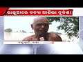 ରାଜୁଆରେ ବନ୍ୟା ଜଳ ଆଣିଲା ଦୁର୍ଦ୍ଦଶା କ୍ଷେତରେ ଲହଡି ମାରୁଛି ୫ ଫୁଟର ପାଣି farmers lost crops in flood