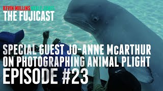 Jo-Anne McArthur on photographing animal plight - the photography podcast