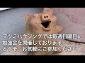 外断熱　新換気　マツミハウジングの家　勉強会