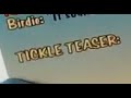 Tickle Teaser