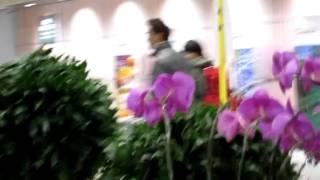 20110406【倩女幽魂2011】來台宣傳，接機(葉偉信、樊少皇、惠英紅)