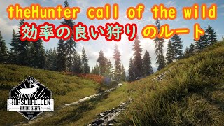 【the Hunter Call of the Wild】思うように獲物に出逢えないあなたへ　in Hirschfelden