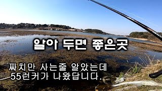 [파워훅킹] 배스낚시 궁금해 하시던 포인트 공개합니다