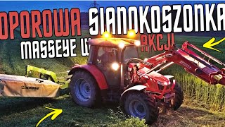 Oporowe sianokosy🌿Agresywny Massey w akcji🔥🚨Nowe nabytki💪