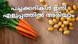 പച്ചക്കറികൾ ഇനി നൊടിയിടയിൽ അരിയാം | Easy Vegetables Cutting Method | Brayden Chopro Electric Peeler