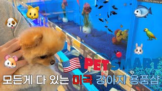 🇺🇸몽이의 미국 강아지용품샵(펫마트) 탐방기 | Petsmart / Ross / 미국미용실