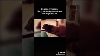 КАКОЙ КОШМАР😂😂😂😂😂ПОДПИСЫВАЙТЕСЬ И НАСЛАЖДАЙТЕСЬ!!!😂