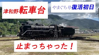 蒸気機関車　ＳＬやまぐち号　運転再開初日、津和野転車台が止まっちゃった！　令和３年（２０２１年）１０月２３日　#やまぐち号  #ｄ51  #蒸気機関車  #鉄道  #sl #slやまぐち号 #山口線