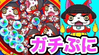 ガチニャンの超でかぷに「ガチぷに」を作ってみた！妖怪ウォッチぷにぷに  Yo-kai Watch