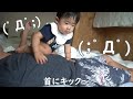 【寝起き】カメラ大好き赤ちゃん【パパと取り合い】