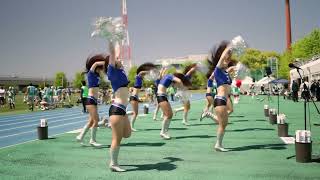 2024/05 IBM BIG BLUE Cheerleaders (BBC)