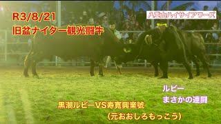 【石垣島の闘牛大会】R3/8/21旧盆ナイター観光闘牛 黒潮ルビーVS寿寛興業號（おおしろもっこう）ルビーまさかの連闘　ピンチヒッターと対戦