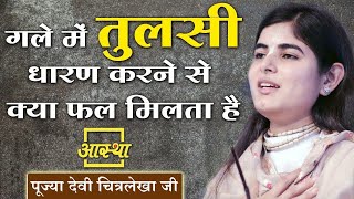 Tulsi mala pahanne ke niyam 📿। तुलसी माला पहनने के नियम। #chitralekhaji #tulsi #viral #youtubevideo