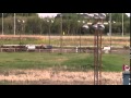 2015 Saskatoon World Chuckwagon Races Day 1 Heat 3