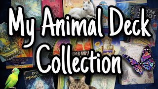 My Animal Deck Collection 2020 | Tarot & Oracle Decks