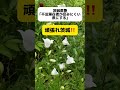 茨城県警｢不法滞在者が住みにくい県にする｣