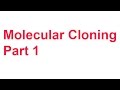 Tutorial 2: Cloning Part 1 (Overview)