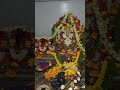 ankalamma talli shortvideo temple