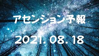 ネガティブな情報はもちろん、「ポジティブな情報」にも囚われない！