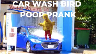 Car Wash Big Bird Poop Prank