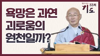 욕망은 과연 괴로움의 원천일까? [법안스님의 기도 33회]