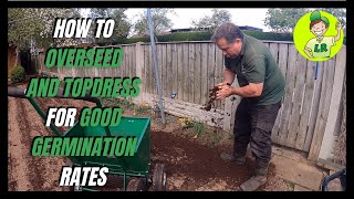 How to OVERSEED and TOPDRESS your lawn for GOOD GERMINATION rates (PART 5 of my lawn renovation)