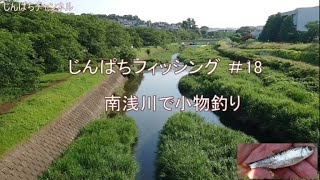 【じんぱちフィッシング #18 小物釣り　川】東京都八王子市　南浅川で小物釣り