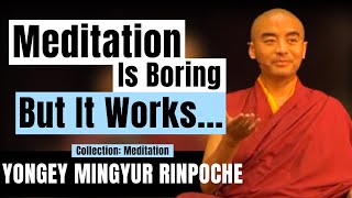 The Power of Recognizing Awareness in Meditation - Yongey Mingyur Rinpoche | LSE 2018 【C:Y.M.R Ep.6】