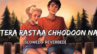 Tera Rastaa Chhodoon na [ Slowed + Reverb ] | by Amitabh bhattacharya | Aesthetic #SlowedandReverbed