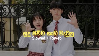 සුදු පිච්ච හැඩ වැටුනු | අද නම් ඔයා ලස්සනයි 😚💗 | Slowed \u0026 Reverb | Nimazzz music page @nima_vibezz