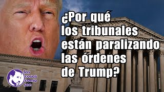 ¿Por qué los tribunales están paralizando las órdenes de Trump?