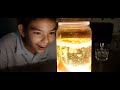 科學實驗 夢幻熔岩燈 lava lamp experiment