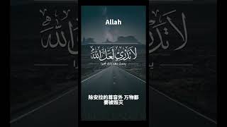 古兰经注释（故事章）#kuran #古兰经 #allah #穆罕默德 #islam #伊斯兰